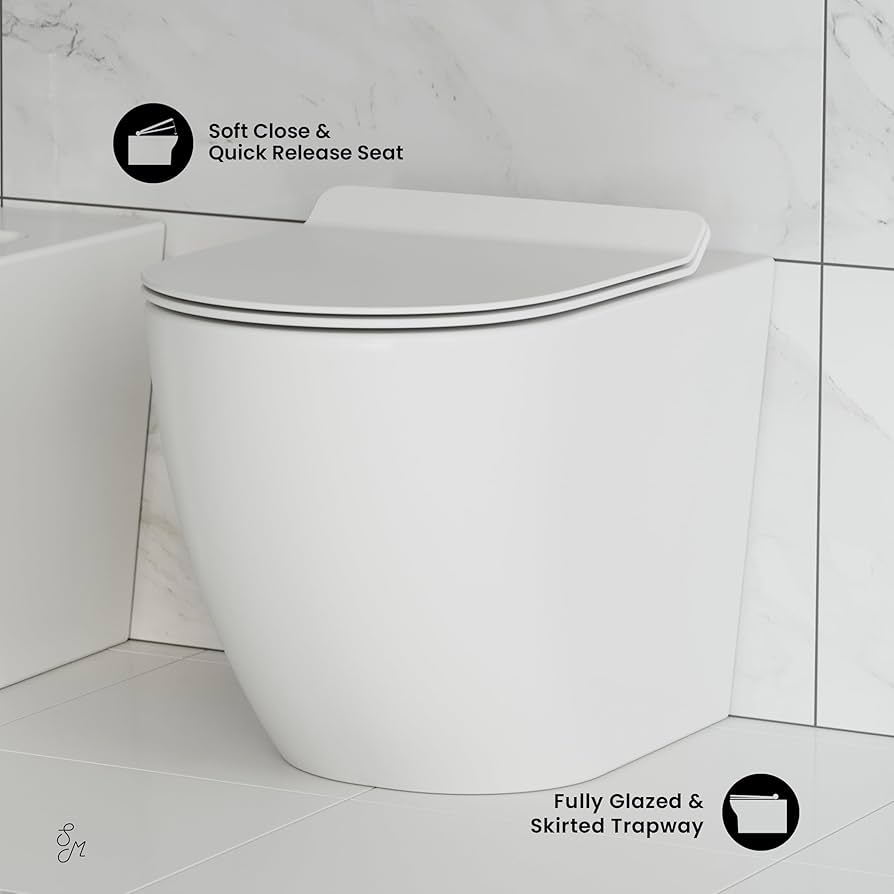 St. Tropez Back to Wall Concealed Tank Toilet Bowl, Black